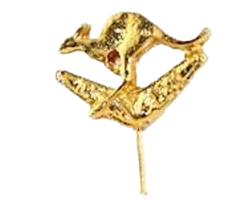 Kangaroo & Boomerang Gold Plated Stick Pins - 5 Pack