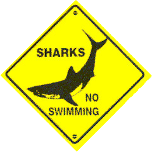Sharks No Swimming' Plastic Road Sign Small